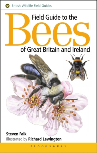 Field Guide to the Bees of Great Britain and Ireland, Hardback Book