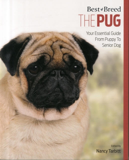 Pug : Best of Breed, Paperback / softback Book