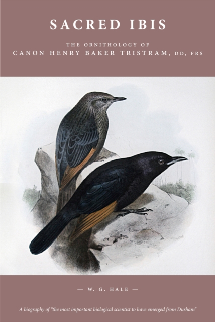 Sacred Ibis : The Ornithology of Canon Henry Baker Tristram, DD, FRS, Hardback Book