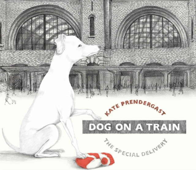 Dog On A Train, Hardback Book