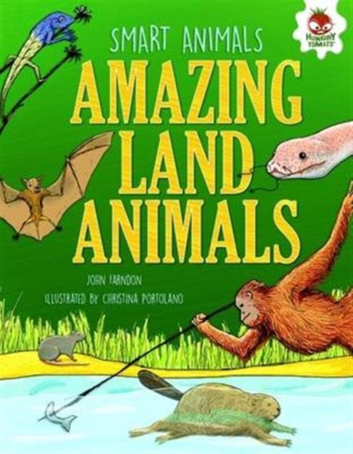 Amazing Land Animals : Networkers, Problem Solvers and Vanishing Acts, Paperback / softback Book