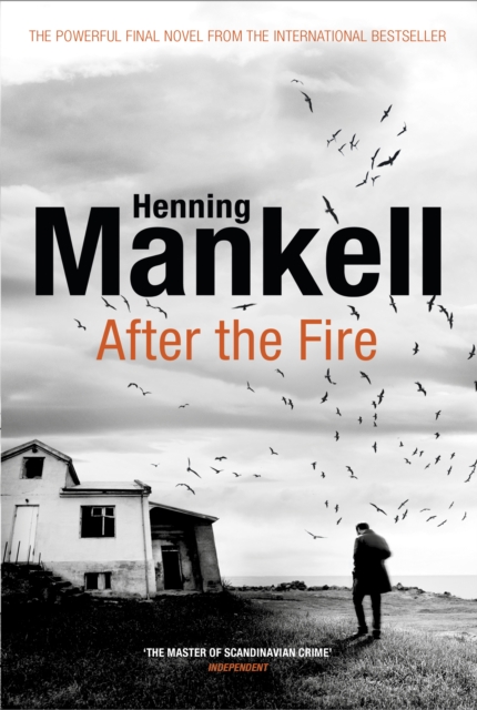 After the Fire, Hardback Book