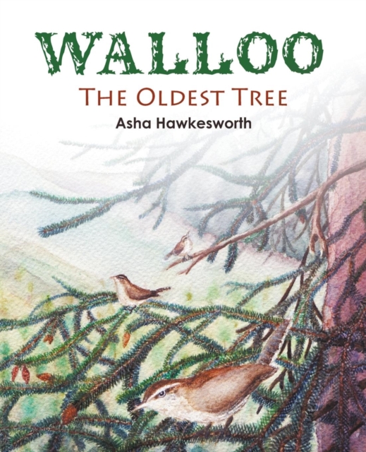 Walloo : The Oldest Tree, Paperback / softback Book