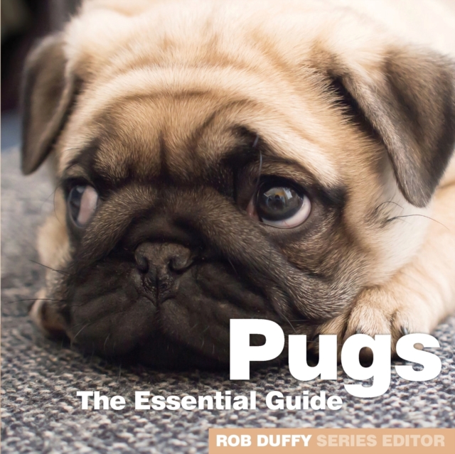 Pugs, Paperback / softback Book