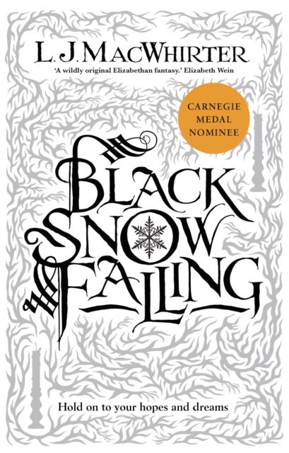 Black Snow Falling, Paperback / softback Book