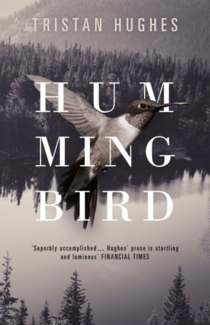 Hummingbird, Hardback Book