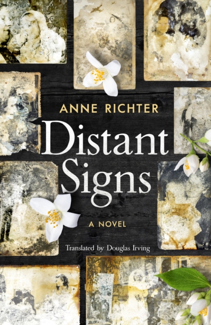 Distant Signs, Paperback / softback Book