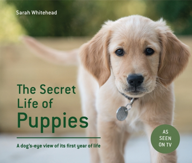 The Secret Life of Puppies : A dog's-eye view of its first year of life, Hardback Book