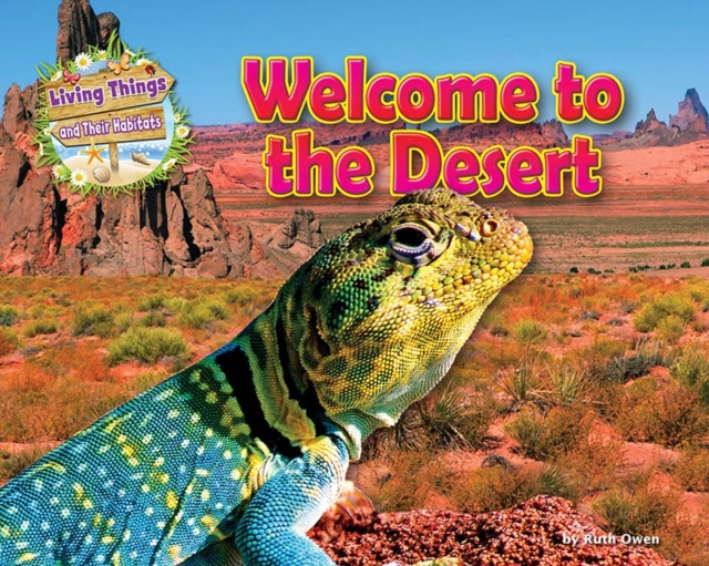 Welcome to the Desert, Paperback / softback Book