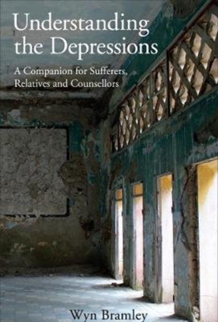 Understanding the Depressions : A Companion for Sufferers, Relatives and Counsellors, Paperback / softback Book