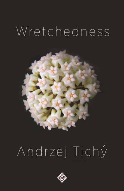 Wretchedness : Winner of the 2021 Oxford-Weidenfeld Translation Prize, Paperback / softback Book