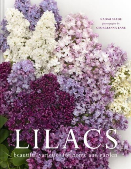 Lilacs : Beautiful varieties for home and garden, Hardback Book