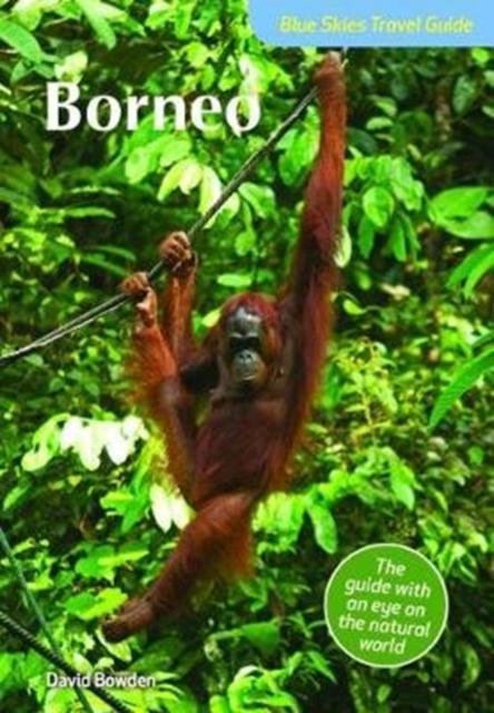 Blue Skies Travel Guide: Borneo, Paperback / softback Book