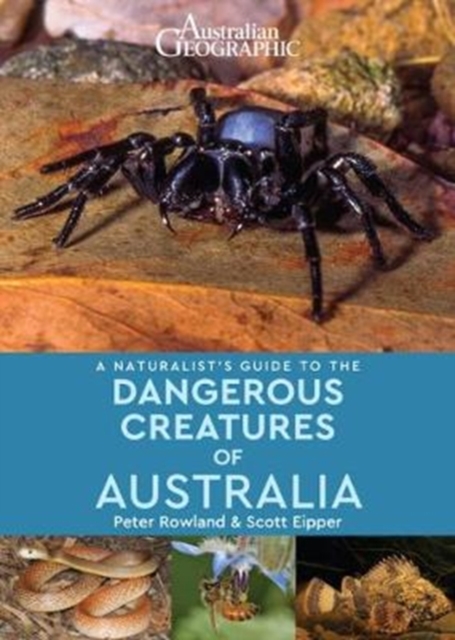 A Naturalist's Guide to Dangerous Creatures of Australia, Paperback / softback Book