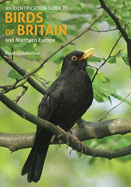 An Identification Guide to Birds of Britain and Northern Europe (2nd edition), Paperback / softback Book