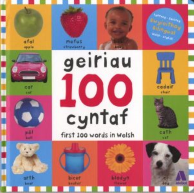 100 Geiriau Cyntaf/ First 100 Words in Welsh, Hardback Book