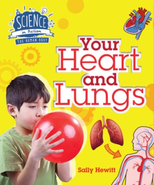 Human Body: Your Heart and Lungs, Paperback / softback Book