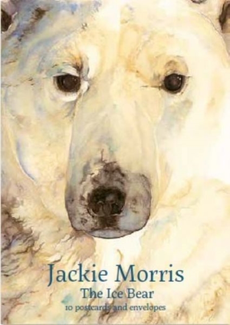 Jackie Morris Postcard Pack: The Ice Bear, Record book Book