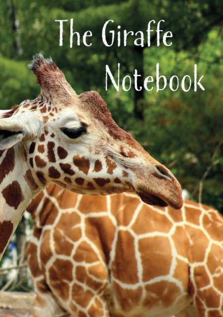 Giraffe A5 Lined Notebook, Paperback / softback Book