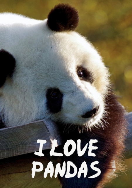 I Love Pandas Notebook, Paperback / softback Book