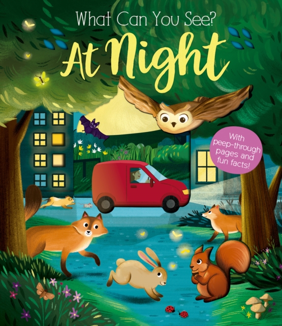 What Can You See At Night?, Board book Book