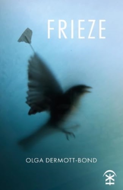 Frieze, Paperback / softback Book
