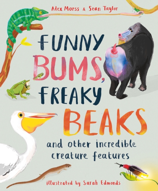 Funny Bums, Freaky Beaks : and Other Incredible Creature Features, Hardback Book Funny Bums, Freaky Beaks : and Other Incredible Creature Features, Hardback Book
