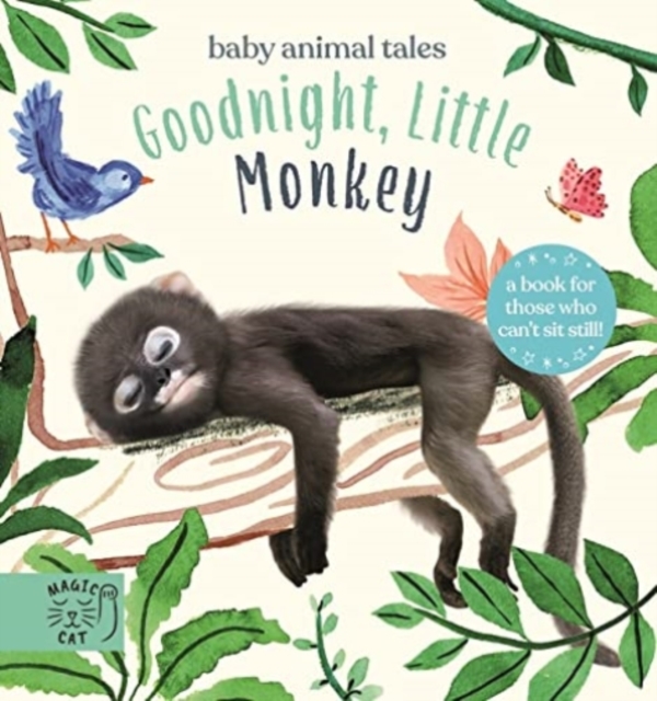 Goodnight, Little Monkey : A book for those who can’t sit still, Board book Book