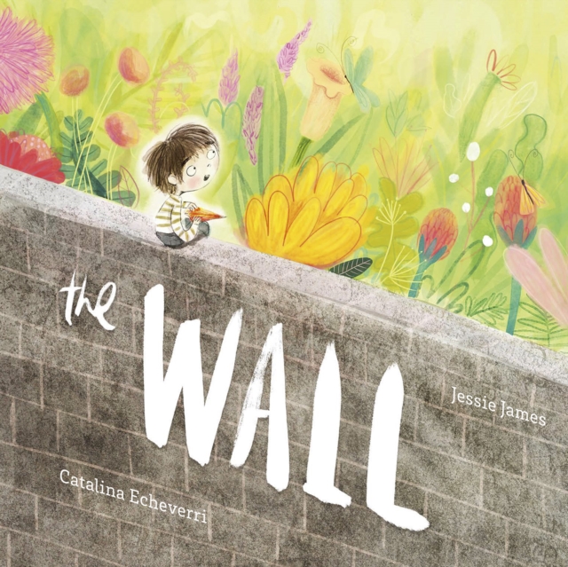 The Wall, Hardback Book