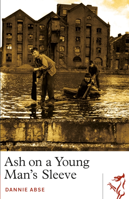 Ash on a Young Man's Sleeve, Paperback / softback Book