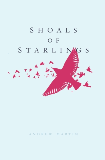 Shoals of Starlings, Paperback / softback Book