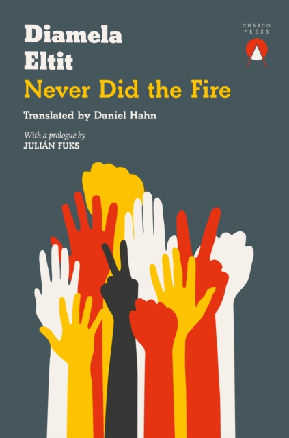 Never Did the Fire, EPUB eBook