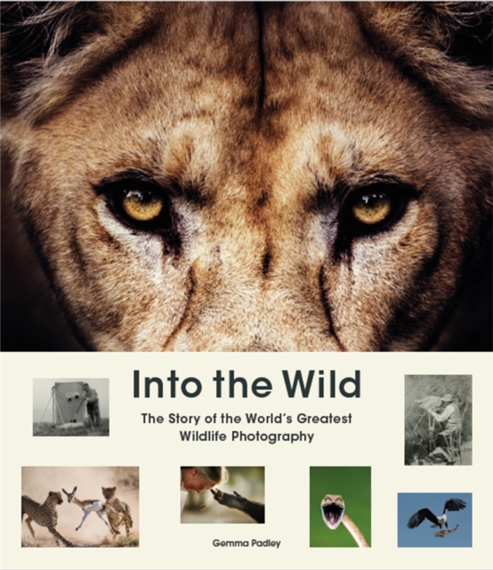 Into the Wild : The Story of the World's Greatest Wildlife Photography, Hardback Book