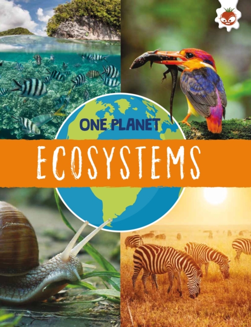 Ecosystems, Paperback / softback Book