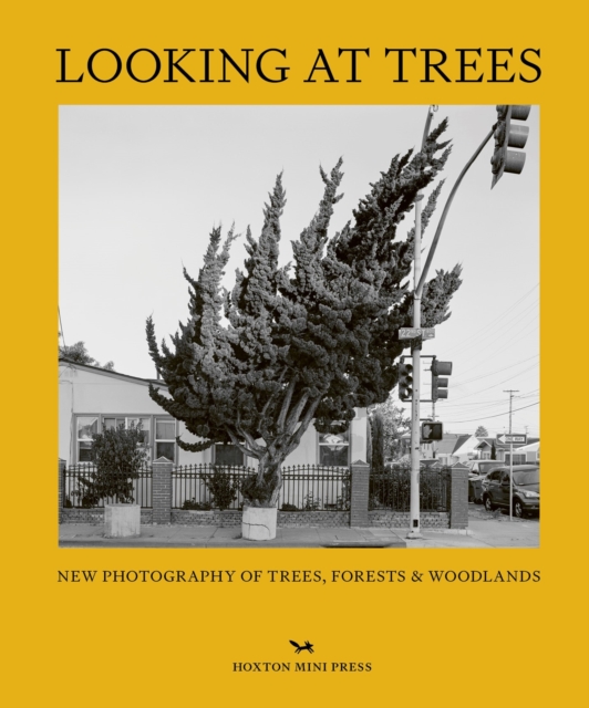 Looking At Trees : New Photography of Trees, Forests & Woodlands, Hardback Book