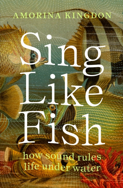 Sing Like Fish : how sound rules life under water, Paperback / softback Book