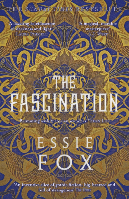 The Fascination, Paperback / softback Book
