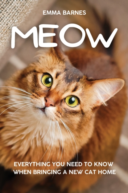Meow : Everything You Need to Know When Bringing a New Cat Home, Paperback / softback Book