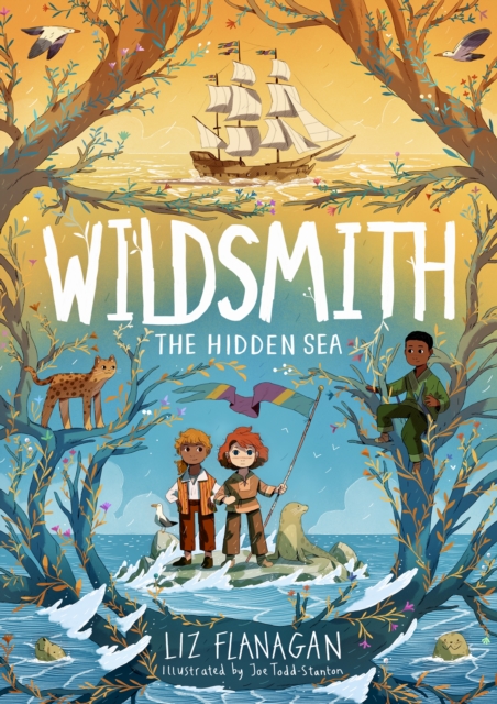 Wildsmith: The Hidden Sea (The Wildsmith Book #3), Paperback / softback Book