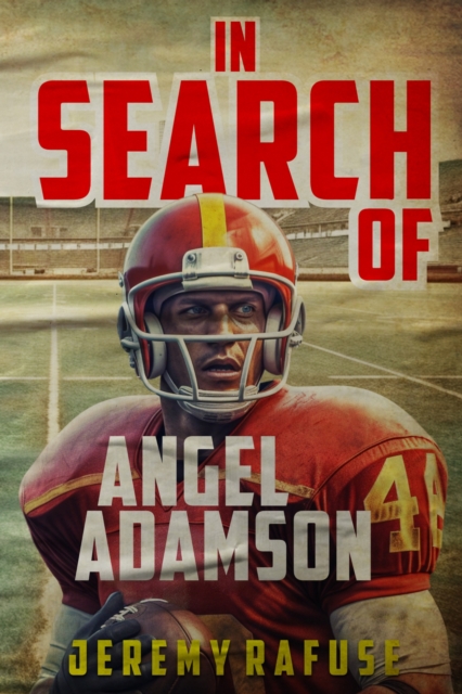 In Search of Angel Adamson, Paperback / softback Book