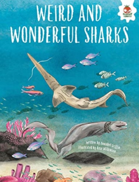 WEIRD AND WONDERFUL SHARKS : Shark Safari   STEM, Paperback / softback Book