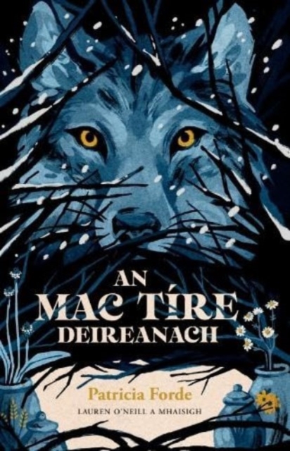 An Mac Tire Deireanach, Paperback / softback Book