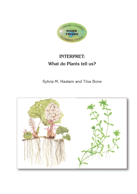 Interpret : RFS Book 4, Paperback / softback Book
