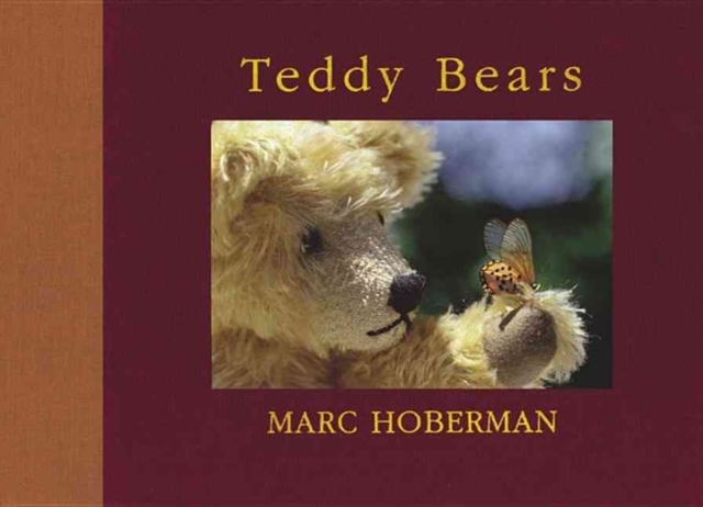 Teddy Bears, Hardback Book