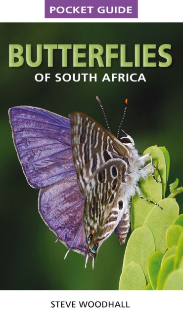 Pocket Guide Butterflies of South Africa, PDF eBook