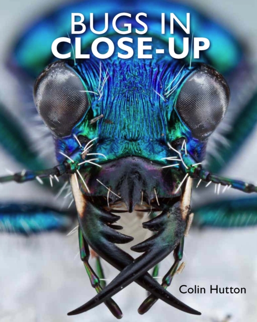 Bugs in Close-Up, Hardback Book