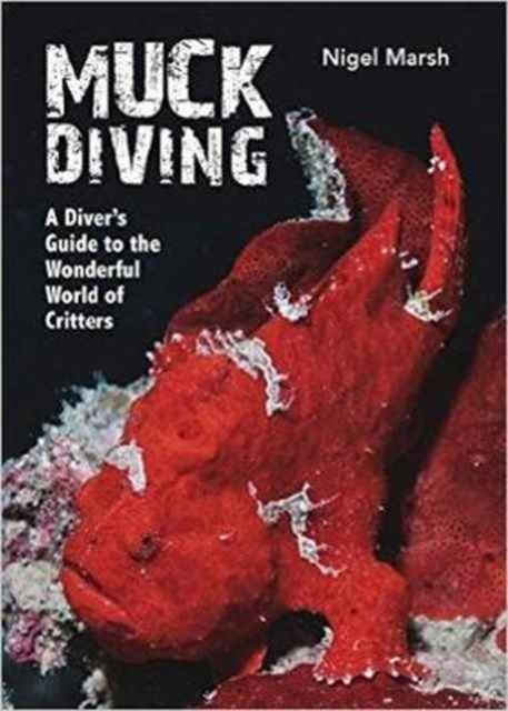 Muck Diving, Hardback Book