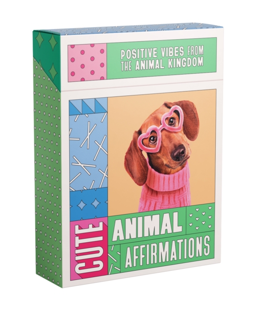 Cute Animal Affirmations : Positive vibes from the goodest boys in the animal kingdom, Cards Book