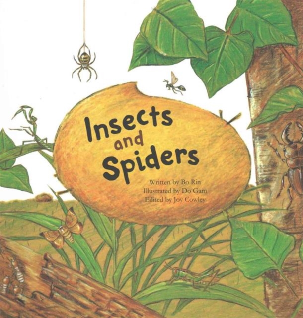 Insects and Spiders : Insects and Spiders, Paperback / softback Book