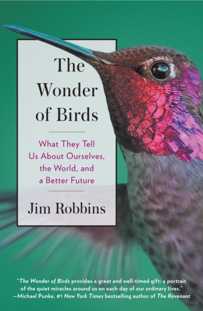 The Wonder of Birds : What They Tell Us About Ourselves, the World, and a Better Future, EPUB eBook